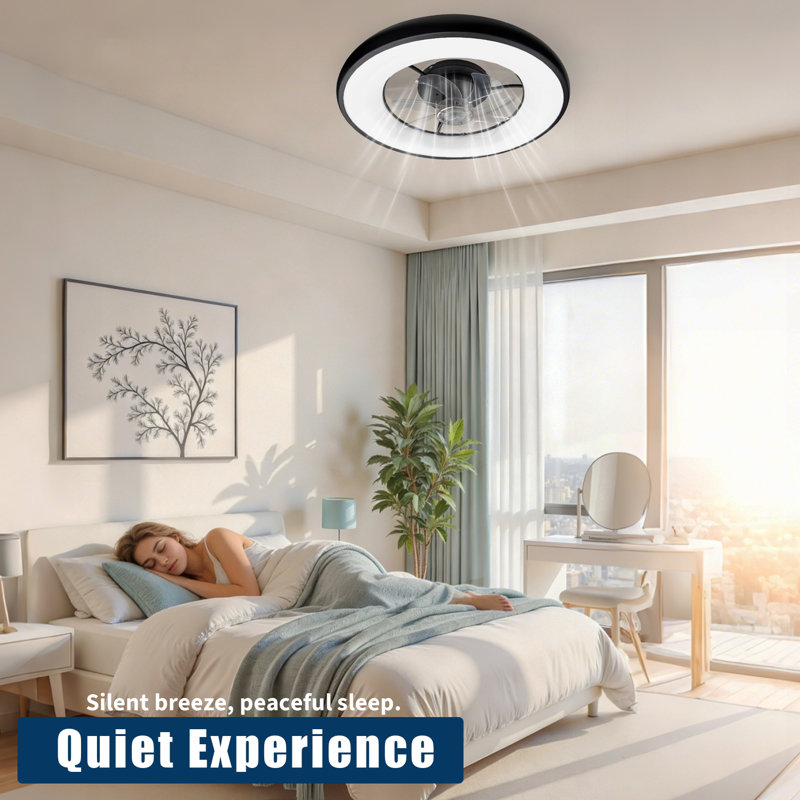 Ceiling Fan