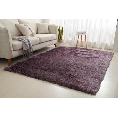 Indoor Rug