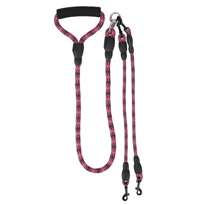 Dogs Walking Leash