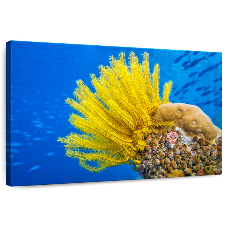 Brampt Yellow Feather Starfish, 20" H x 30" W