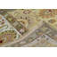 Wool Oriental Area Rug in Gold