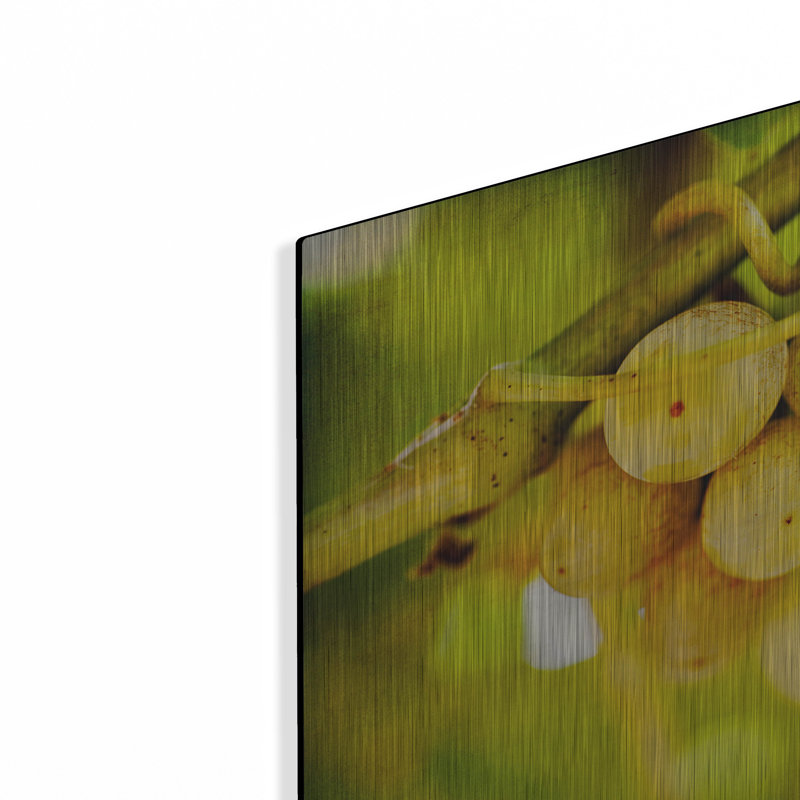 Winston Porter «Spring Fruit» par Jessica Rogers, art mural en métal, H 12 po x l 12 po