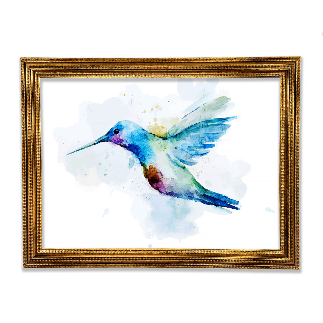 Hummingbird Splash - Druck