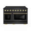 ZLINE Autograph 48 in. Black Stainless Steel Paramount Induction Range with Gold Helix Handles