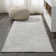 Pruden Ornate Medallion Modern Ivory Rug