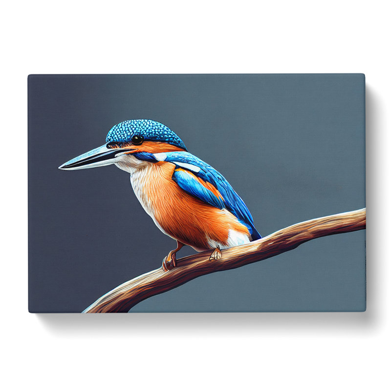 Gorgeous Kingfisher Bird - Wrapped Canvas, 40cm H x 60cm W x 3cm D