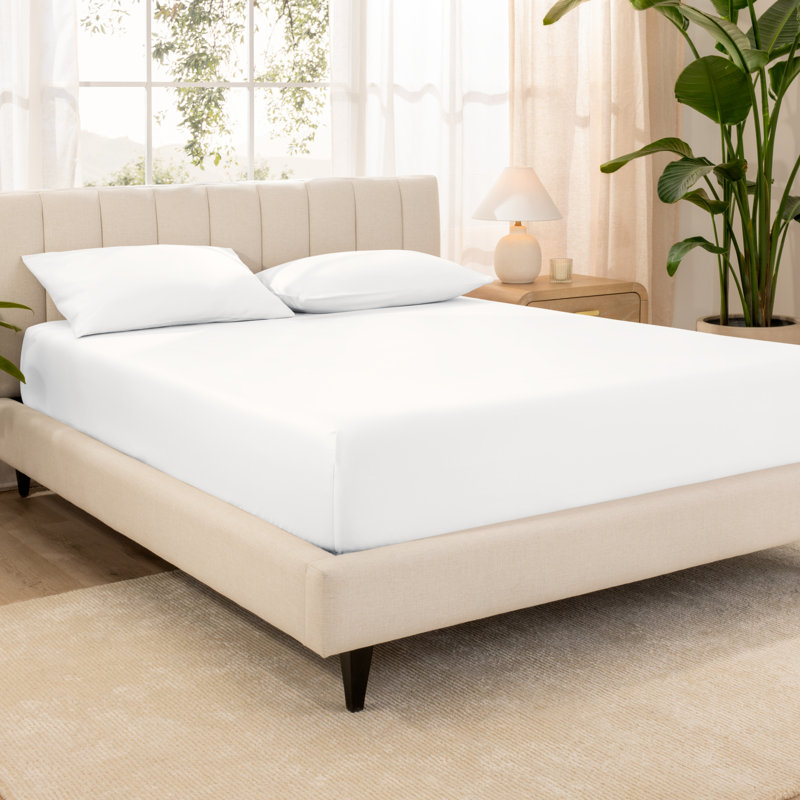 Organic Sateen Machine Woven Fitted Sheet, White, Queen Fitted Sheet