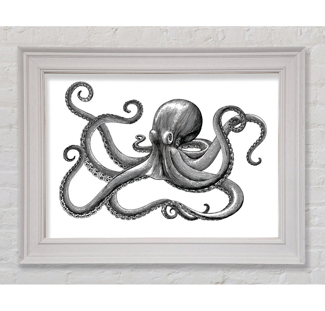 Oktopus Illustration Gerahmter Druck