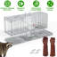 Cage à piège pour chat Humane-874618055