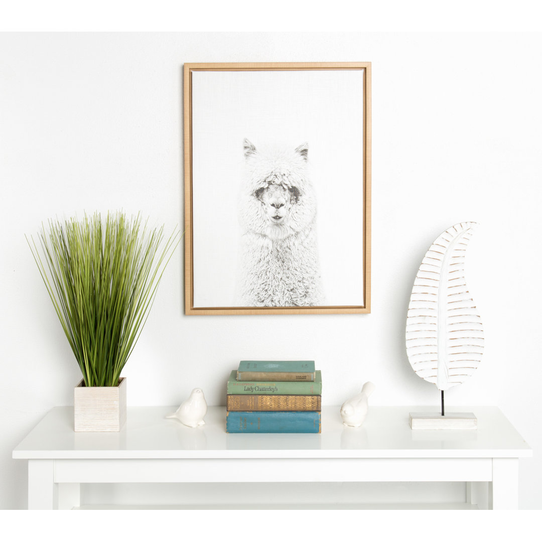 Melita Paris Hairy Alpaca Black and White Portrait by Simon Te Tai - Floater Frame Photographic Print on Canvas Ebern Designs Frame 