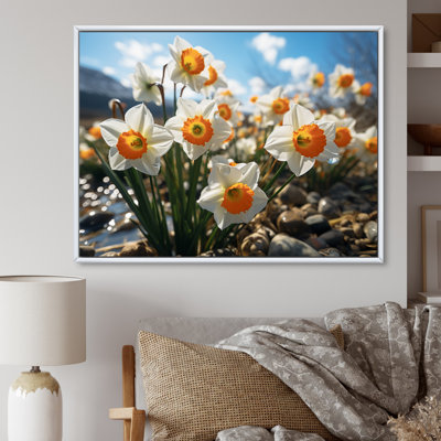 " Daffodils Field Sunset III "