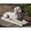 Dog Boxer Garden Statue