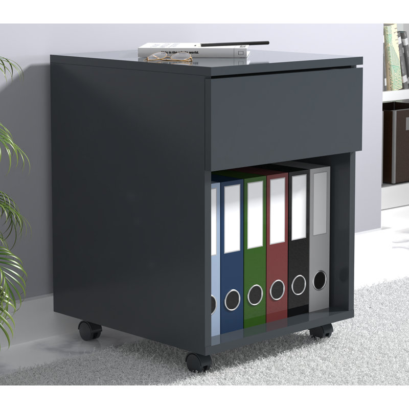 Remedios 39cm Wide File Cabinet, Black, 45cm H x 39cm W x 55cm D