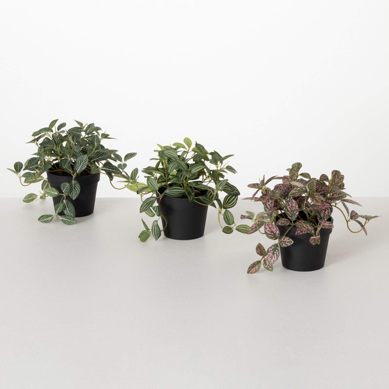 Fittonia artificiel en pot H 6,5 po; vert