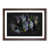 Walnut Framed