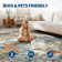 Modern Abstract Machine Washable Area Rugs for Living Room, Non Slip Rug for Bedroom Nursery, Soft Stain Resistant Carpet