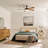 Starkk 52'' Ceiling Fan with LED Lights-1081777955