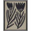 Simple Florals S/4 Print by Watts