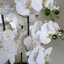 Plastic, Silk Artificial Arrangement in Planter-88685039-88685040