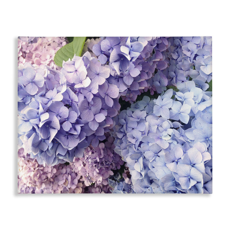 «Pastel Hydrangea Flower Petals», art mural par Lil 'Rue, L 20 po x H 16 po