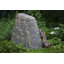 Spataro paysage jardin pierre-2040482804