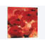 «Abstract Flowers II», impression sur toile-29090304-72807261-72807266
