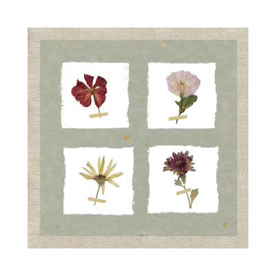 Pressed Blooms I by Carol Robinson - Wrapped Canvas Print
