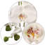 Phalaenopsis en soie Real Touch avec 9 fleurs