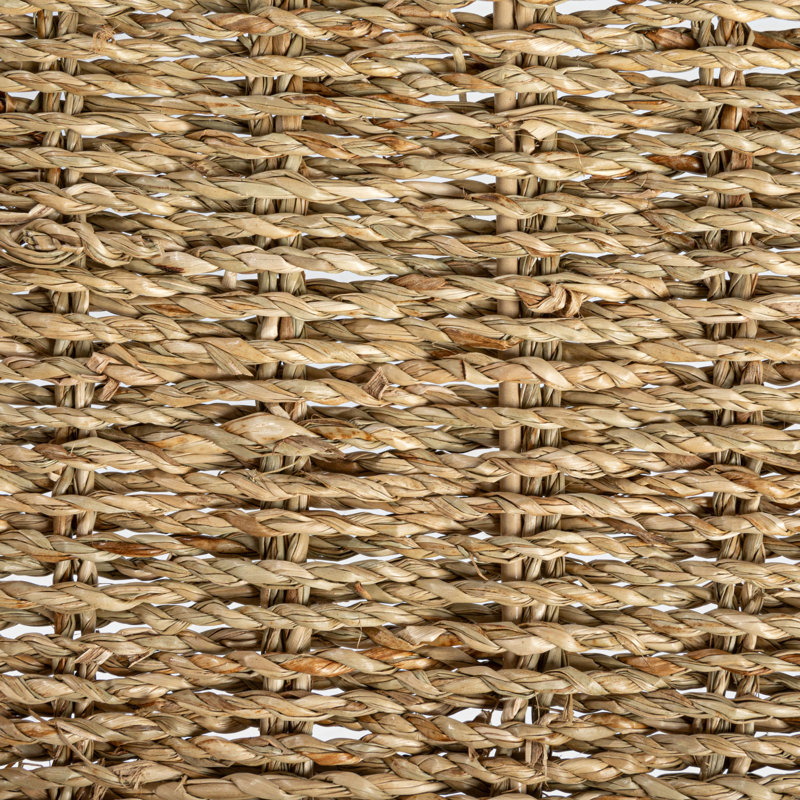 Plateau en ruppie maritime - ensemble de 2