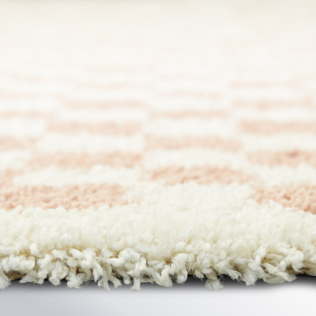 Walker Checkered Pink/Cream Shag Area Rug AllModern Rug 