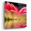 «Gerbera Daisy Reflection» par Pamela Plummer-311657916