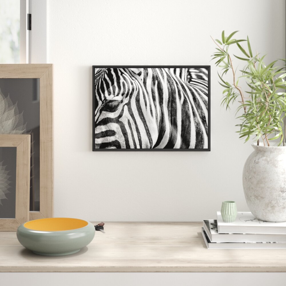 Gerahmtes Wandbild Zebra Porträt