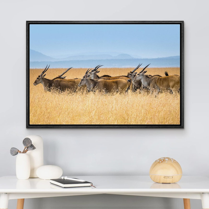 Wild Wild Safari Jungle Antelope Gazelle sur toile, H 24 po x l 36 po x P 1,5 po, Cadre noir