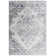Oriental Indoor Rug