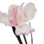 Arrangement-111171203