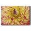 Toile tendue Blooms II-Gallery-1469403223