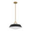 Luminaire suspendu doré éclatant 16 po Grantham-190009618-190009621