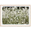 Wild Flowers Print by Carly Tabak-73336345-73336347