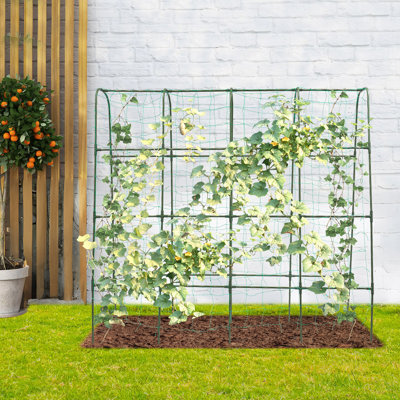 Treillis de jardin pour les plantes grimpantes