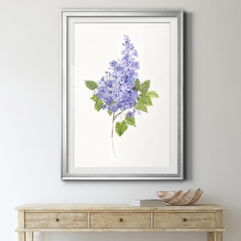 Lilas botanique délicat - Cadre photo, reproduction d'art sur papier, H 26,5 po x l 36,5 po x P 1,5 po, Argent