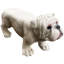 Banc de bouledogue blanc 31 po
