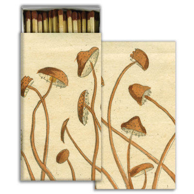 AREOhome Matches