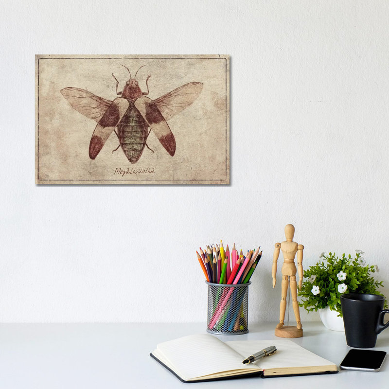 Megaloxantha 2 by Mike Koubou - Wrapped Canvas Print, 20.32cm H x 30.48cm W x 1.91cm D