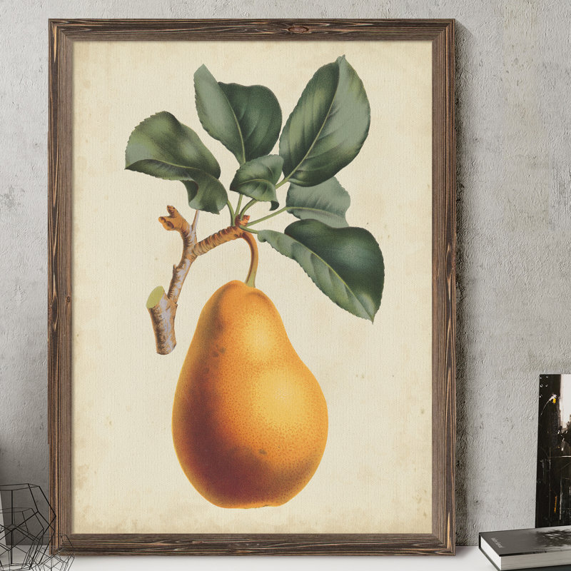 « antique poir botanique i » par paul cezanne-photo, reproduction d’art sur cadre, H 16 po x l 22 po x P 1 po