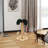 19.68” Cat Tree With Sial Scratching Post ，Catnip Ball＆Feather