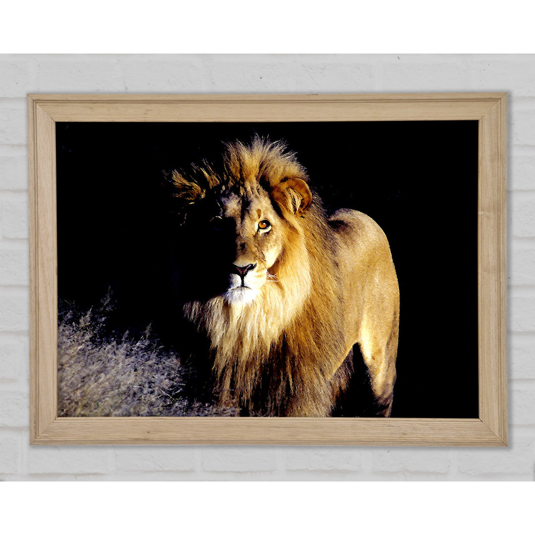 Lion Watch - Drucken