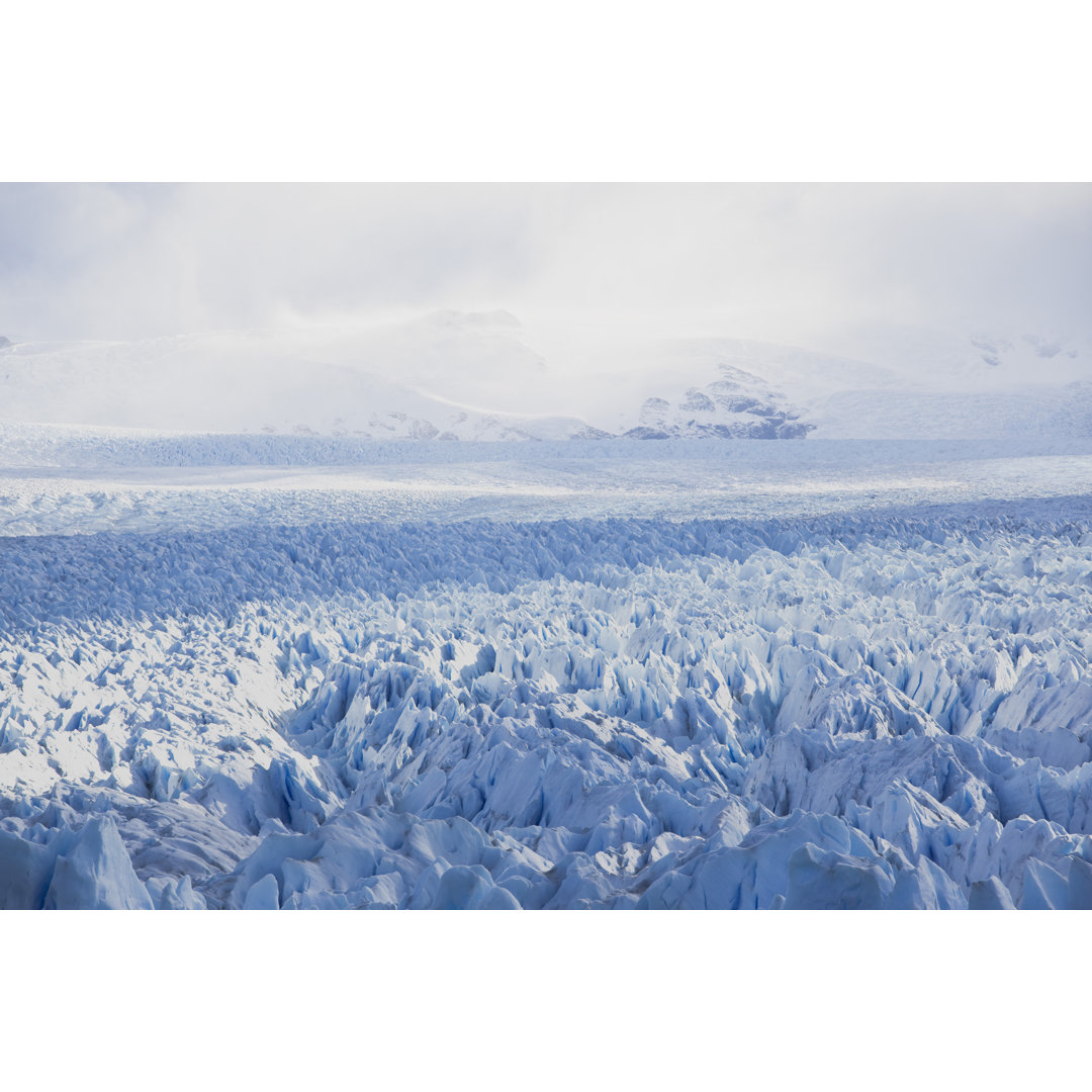 Nationalpark in Argentinien - Leinwandbild