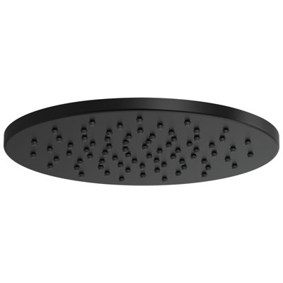 Essential™ Rain Adjustable Shower Head