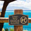 Sorry No Dogs Allowed Garden Sign