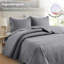 Couvre-lit matelassé doux en microfibre à ultrasons avec taies décoratives assorties-121264126-121264124